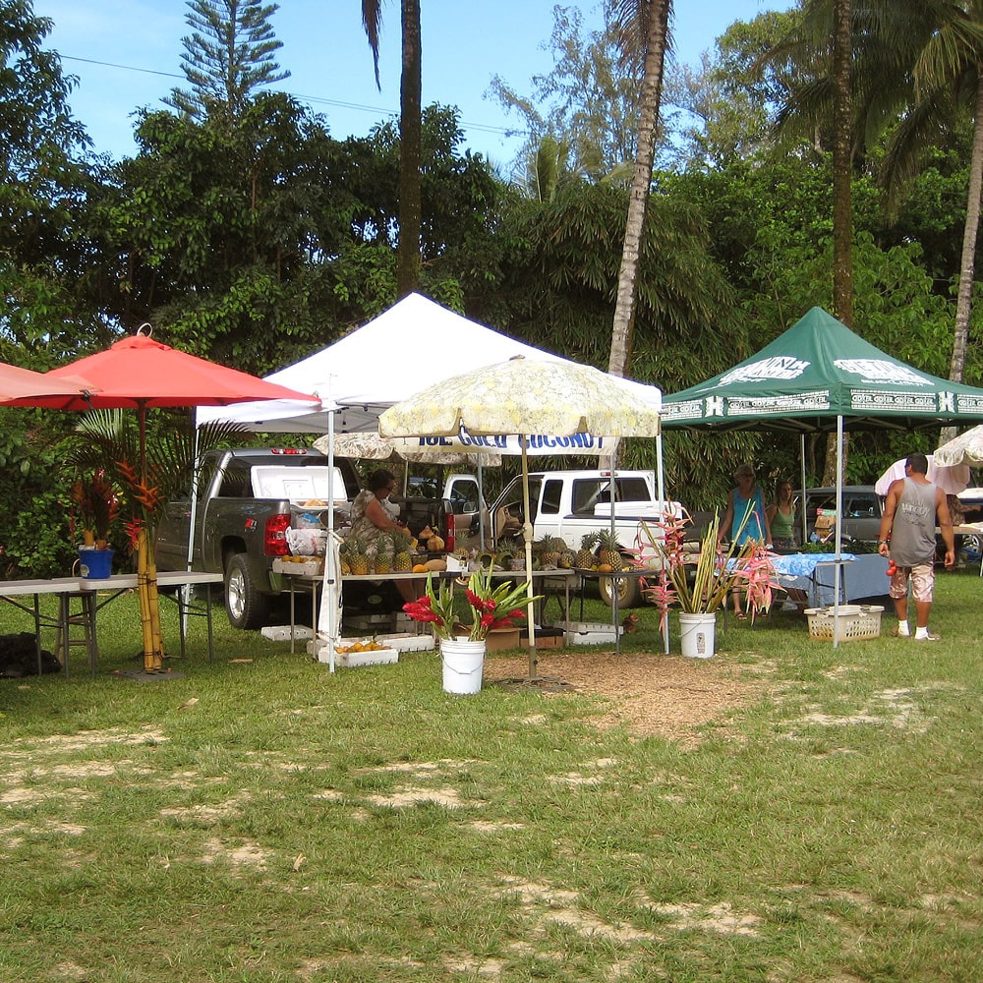 Farmers Markt mit frischem Obst
