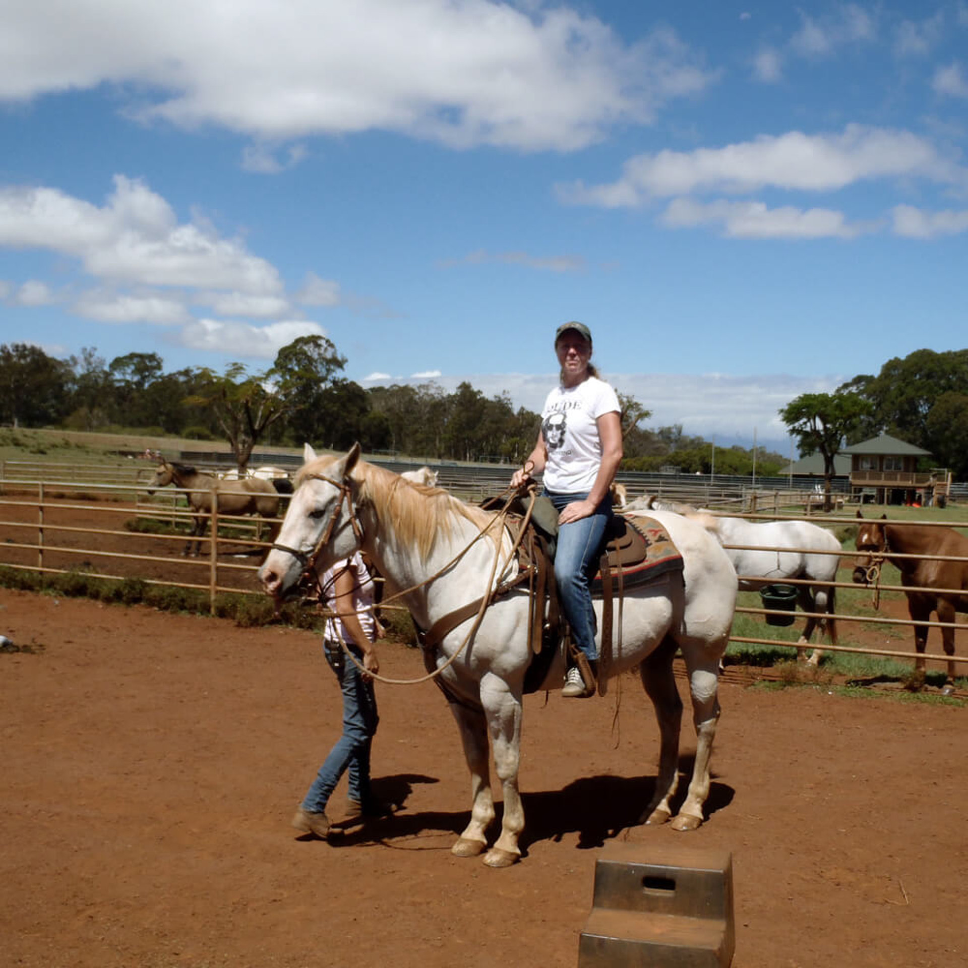 jajaja... als ob ich dieses Leiterchen zum Aufsitzen gebraucht hätte