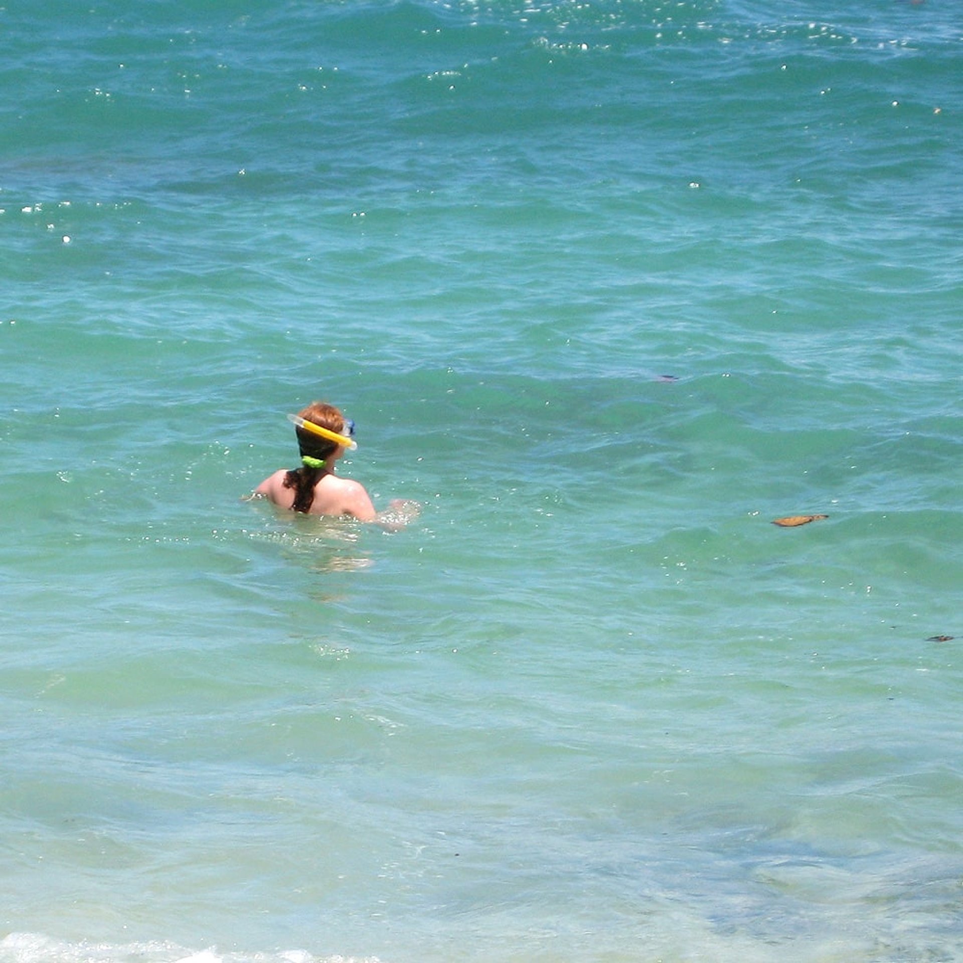 Elke beim schnorcheln