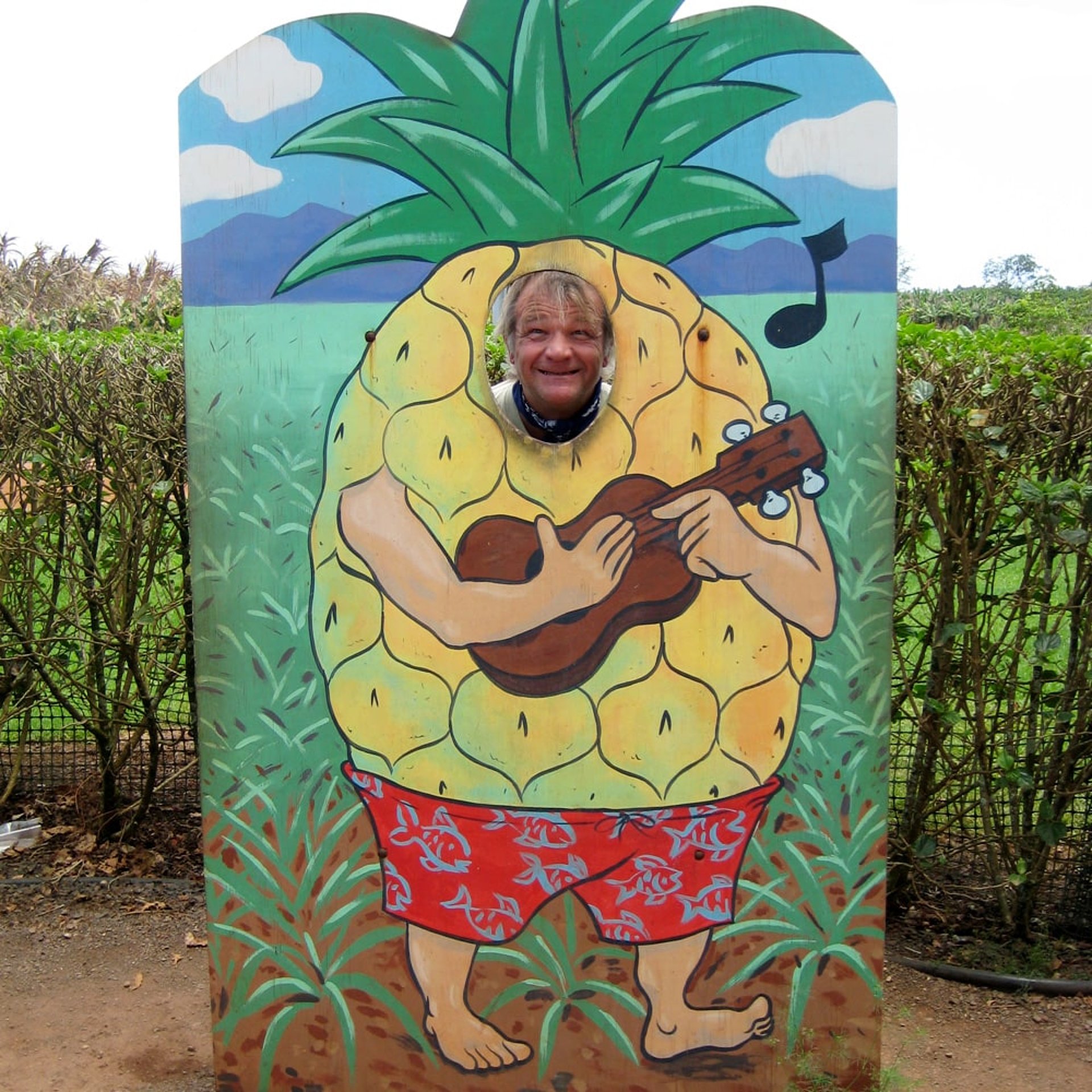 Ausgewachsen sehen sie so aus: