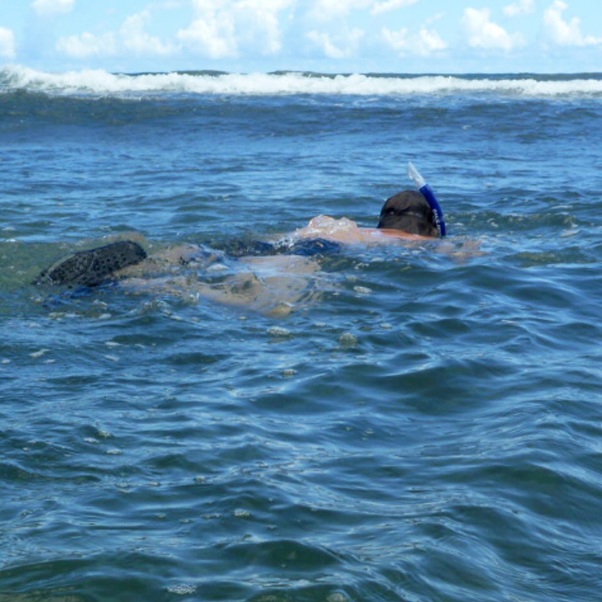 und schnorcheln waren wir natürlich