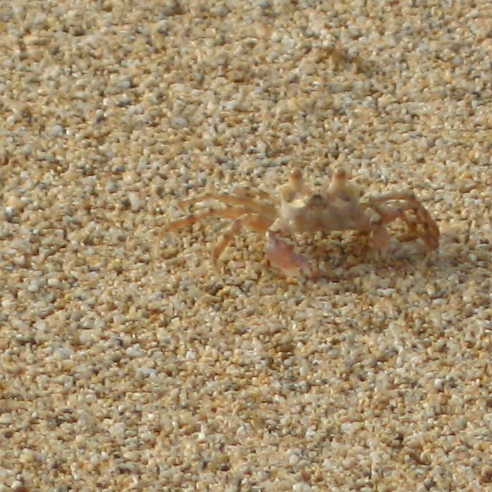 Die einzige Nachbarschaft