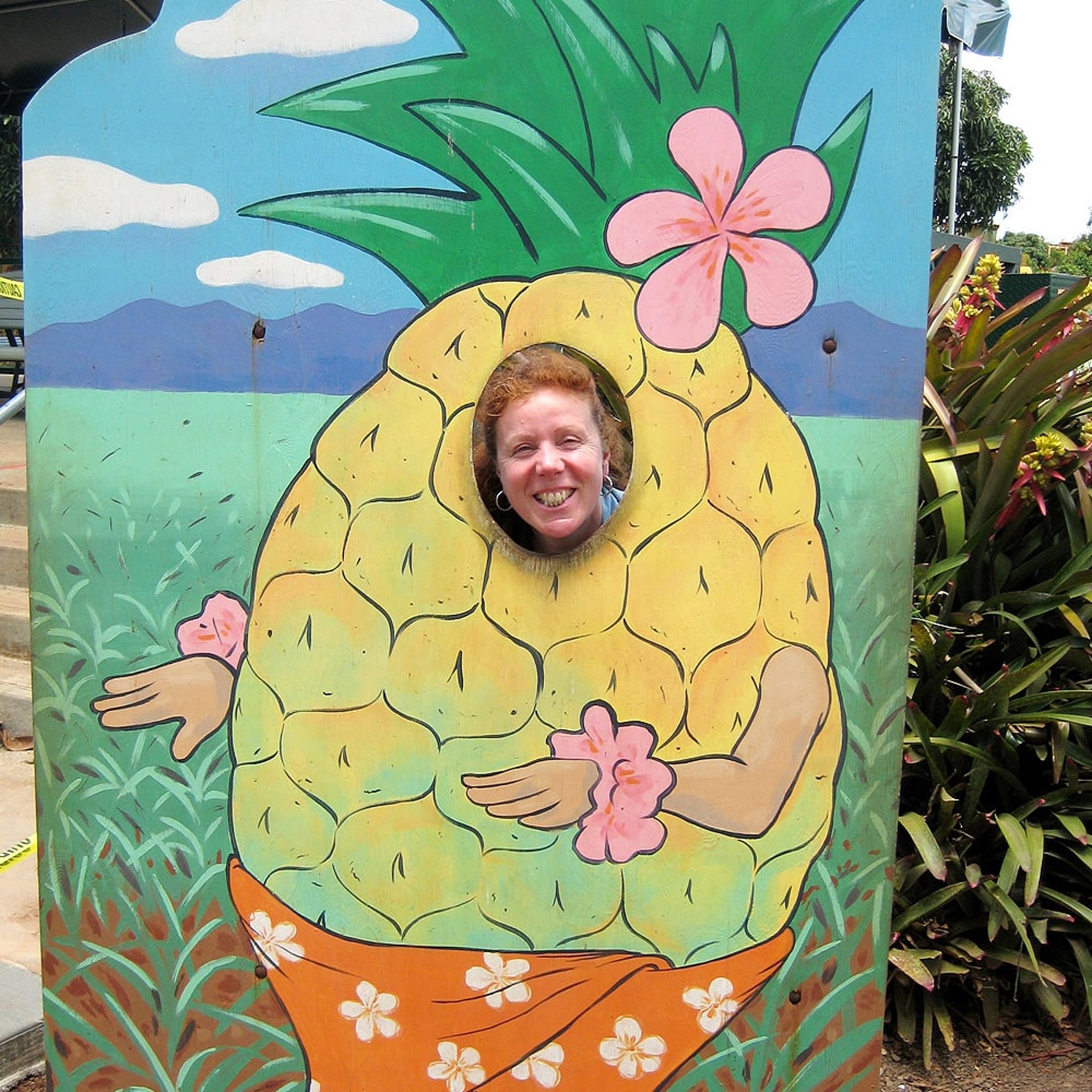 Ausgewachsen sehen sie so aus: