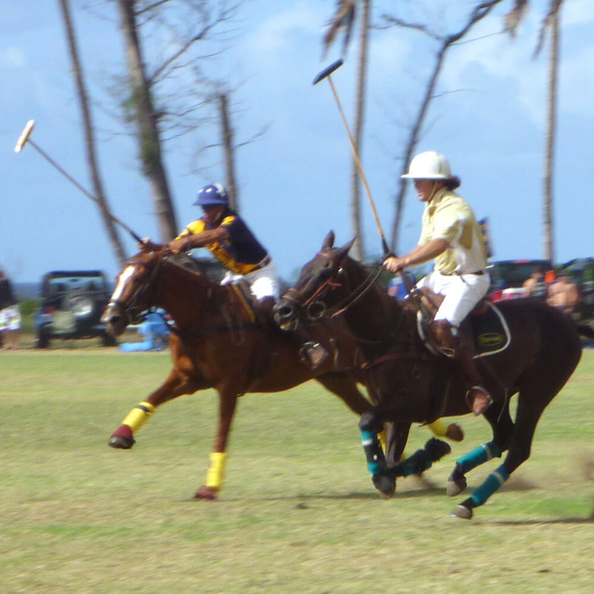 und natürlich findet da auch ein Spiel statt