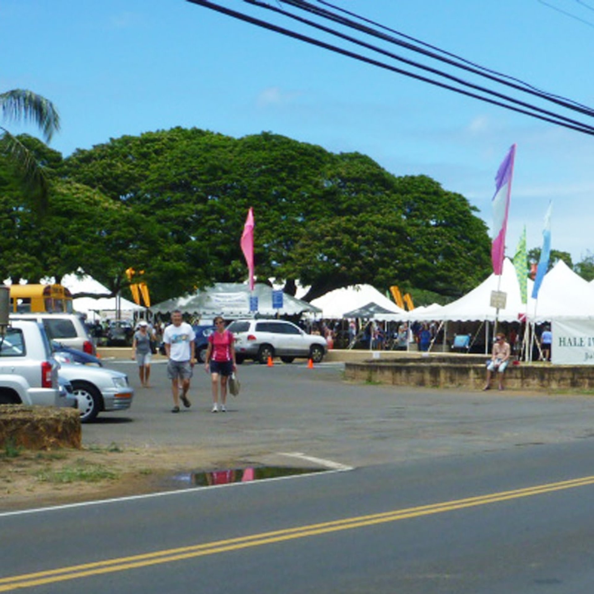 Festival in Haleiwa