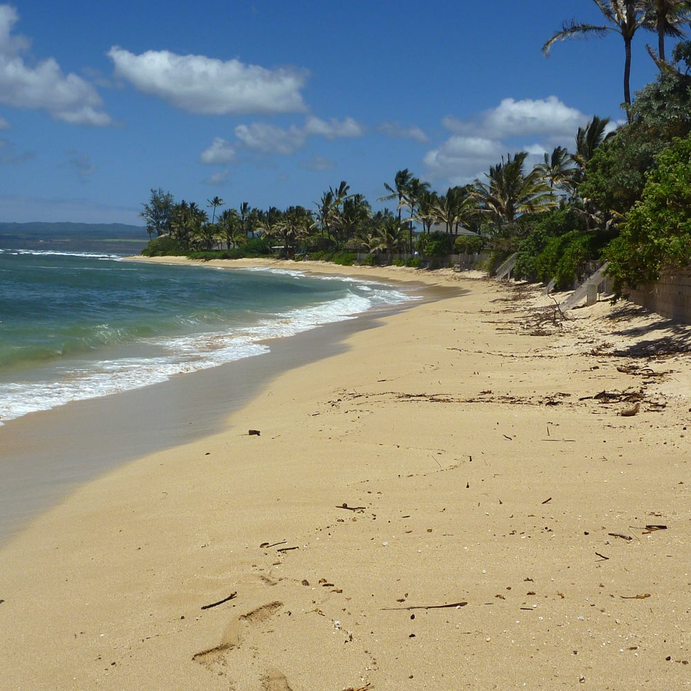 oder sogar hier??? oder sogar hier???