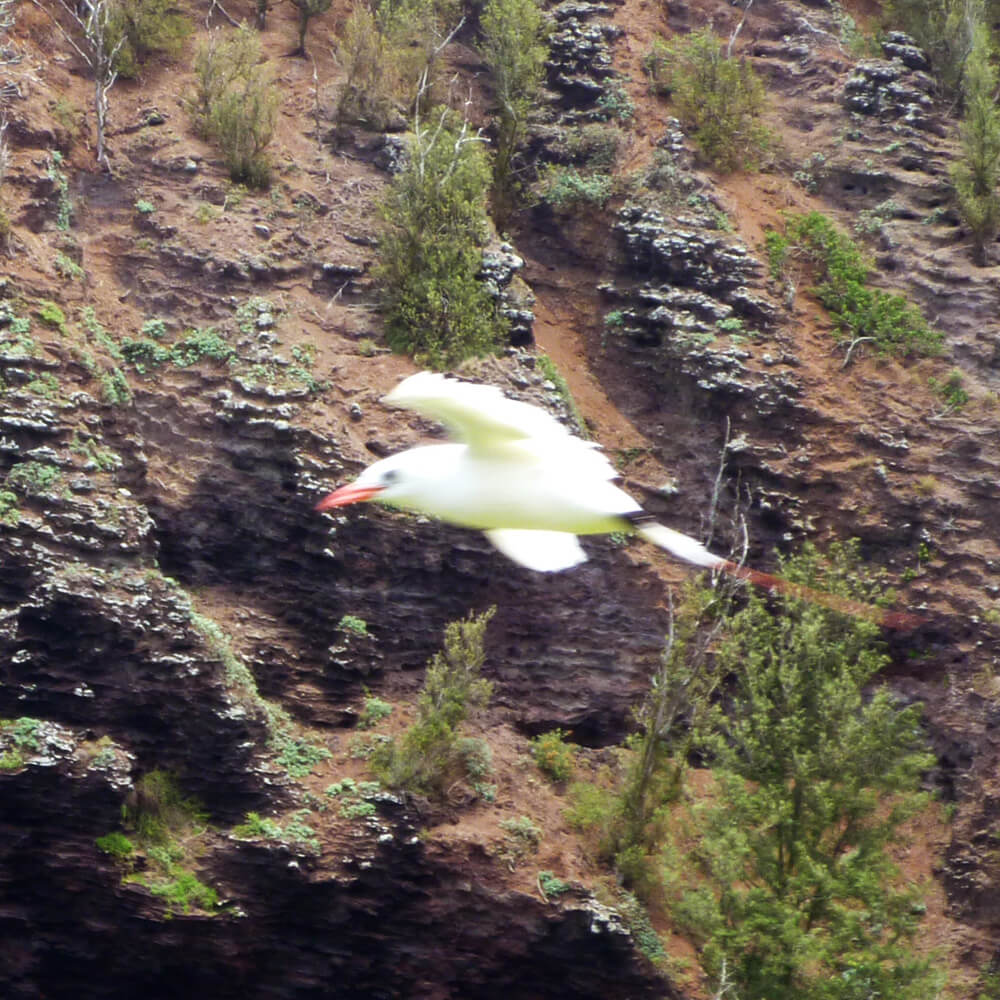 und natürlich das BÜBSCHEN